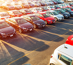 Hexnode, case study on AutoMap LLC