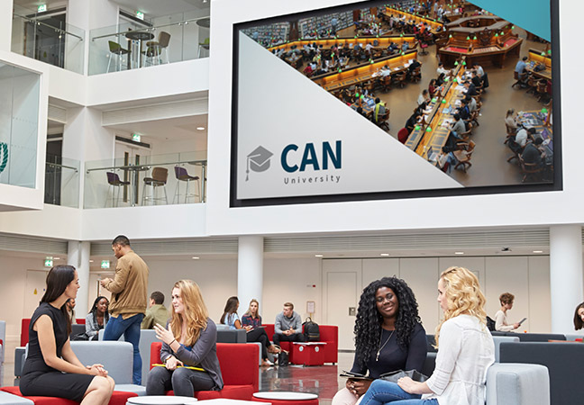 Endpoint management in government